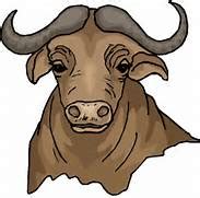 Buffalo clipart carabao, Buffalo carabao Transparent FREE for download ...
