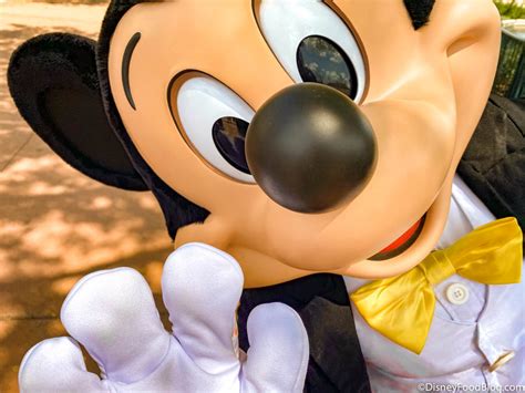 How Meeting Mickey Mouse at Disney World is COMPLETELY Different Than It Used To Be! | A Blog ...