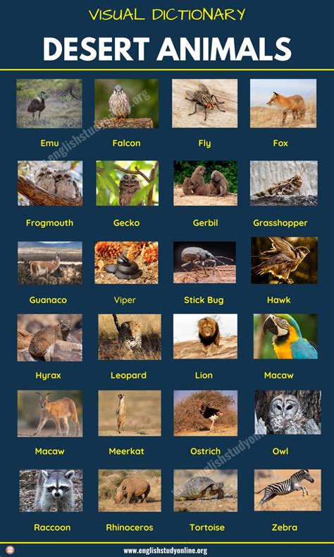 Desert Animals: List of 60+ Animals That Live in the Desert with Examples - English Study Online