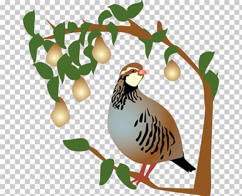 free clipart twelve days of christmas 10 free Cliparts | Download images on Clipground 2024