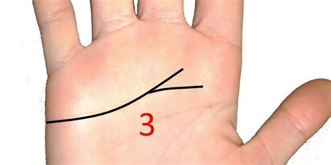 Forked Heart Line Meaning in Palmistry - Destiny Palmistry