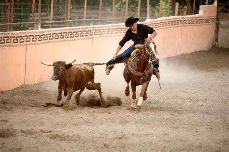 Charrería: Mexican Horsemanship