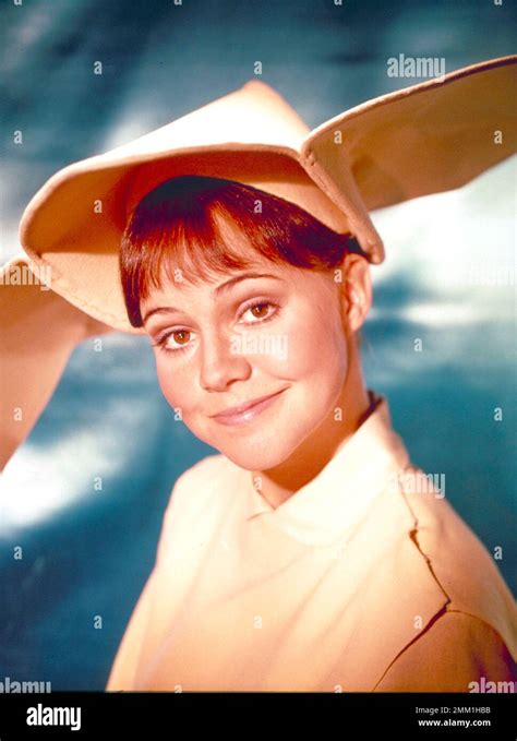 SALLY FIELD in THE FLYING NUN (1967), directed by JEROME COURTLAND and JERROLD BERNSTEIN. Credit ...