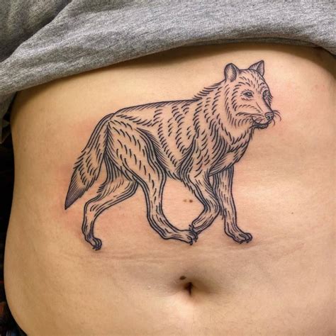 Big bad wolf tattooed on the stomach, engraving style.