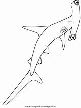 Squalo Scribblefun Crayola Sketch Coloring Page sketch template