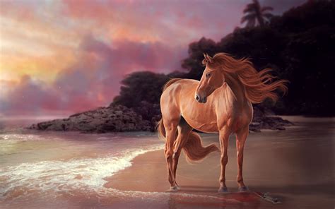 Horse In Sunset
