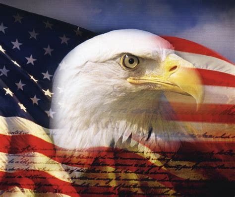 🔥 [44+] Bald Eagle American Flag Wallpapers | WallpaperSafari