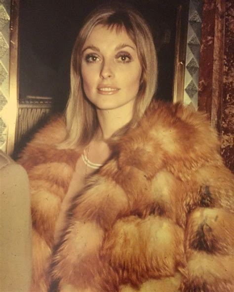 Sharon Tate on Instagram: “Sharon in one of her fur coats (1967) 🧡 Some of my favorite photos ...