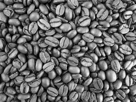 Black and White Pattern of Coffee Beans Stock Photo - Image of freshness, aroma: 60068268