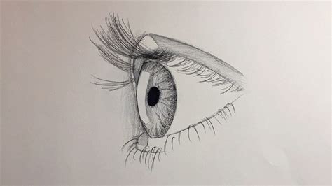 How to draw an eye for beginners (side view) - Alpha Art HD