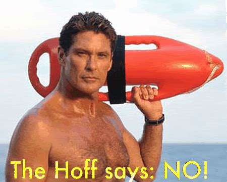 The Hoff, Knight Rider, Baywatch, Pool Float, David, It Cast, Tall, Discover, Gorgeous