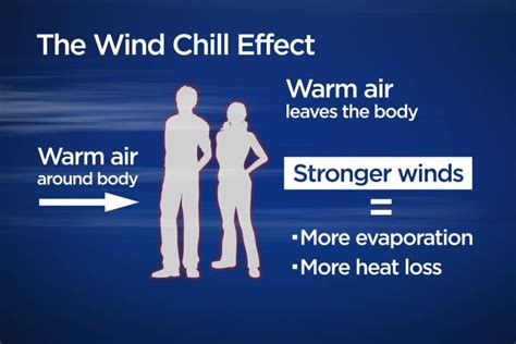 Extreme cold hazards: what wind chill is and how cold can lead to ...