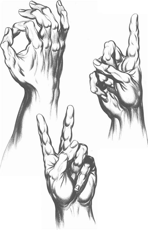 Communication And Gesture - Drawing Hands - Joshua Nava Arts