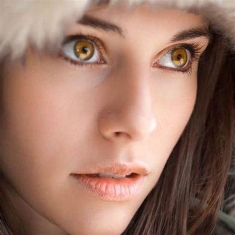 cosplay cat eye gold (12 months) contact lenses