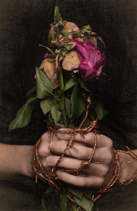 Bouquet of barbed wire by gavrelle | ePHOTOzine