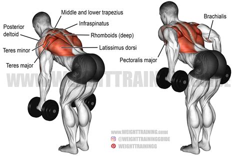 Bent-over two-arm dumbbell row exercise instructions and video