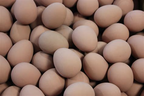 Fake Rubber Eggs Free Stock Photo - Public Domain Pictures
