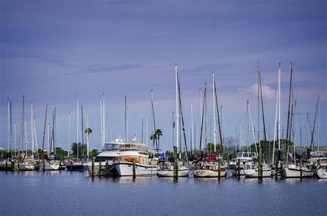 Davis Island Yacht Club Photograph by Carolyn Marshall - Pixels