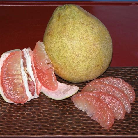 Peeling Pomelo (Suha Fruit) - Chef's Pencil