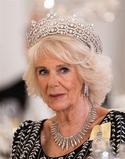 Camilla Rosemary Shand, todo lo que debes saber sobre la reina consorte ...