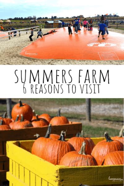 Summers Farm: The Most Important Reasons You Should Visit - Housewives ...