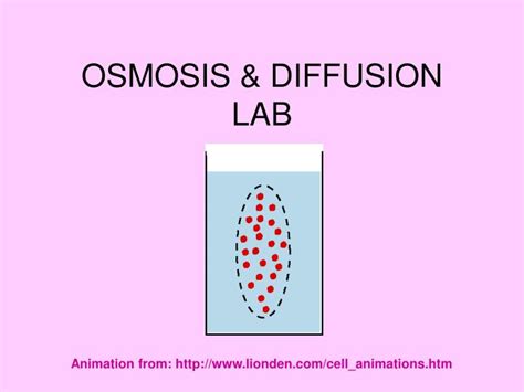 PPT - OSMOSIS & DIFFUSION LAB PowerPoint Presentation, free download - ID:466637