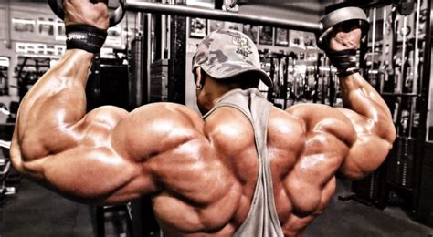 7 Essential Muscle Building Tips