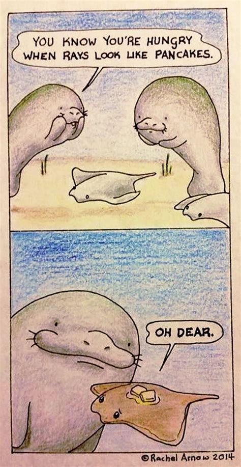 Fat Manatee Meme