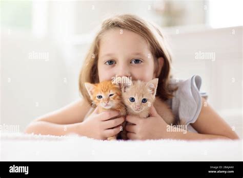 Child holding baby cat. Kids and pets. Little girl hugging cute little kitten at home. Domestic ...