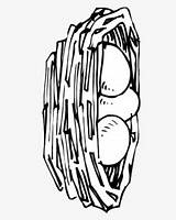 Eggs Coloring Page  Carton Of Drawing Free Transparent Clipart sketch template