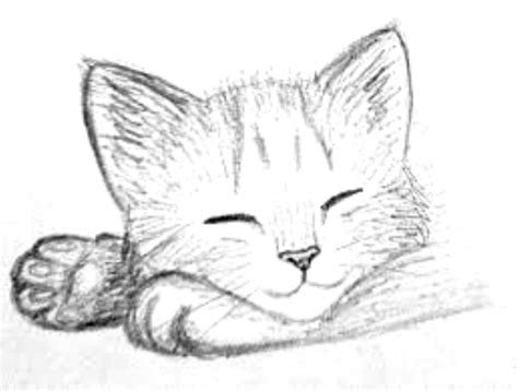 pinterest fluffy cat line drawing - Google Search | Kitten drawing, Cat sketch, Pencil drawings ...