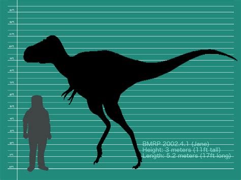 Jane Size (Nanotyrannus) by Asuma17 on DeviantArt