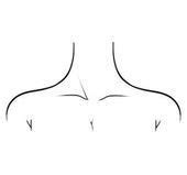 How to draw Neck / Collar Bone How to draw Neck / Collar Bone This image has...#bone #collar # ...