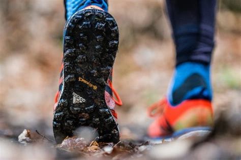 Adidas Terrex Agravic GTX: Product review | Runner Expert