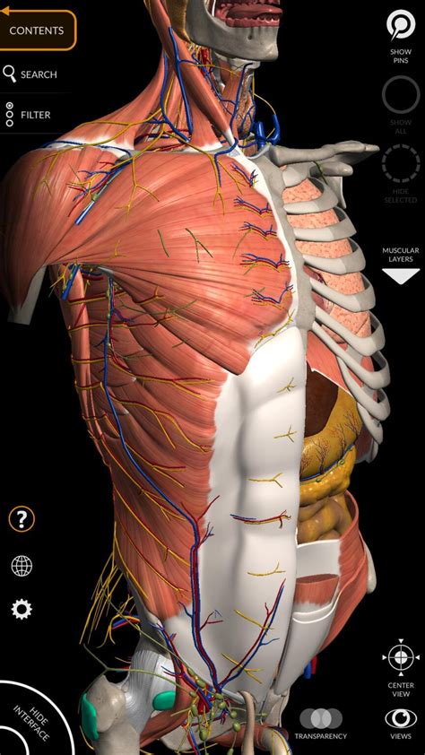 Anatomía – Atlas 3D - ApkDownloader20