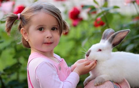 純国産/日本製 LET´S PLAY WITH BUNNIES Learn about rabbits and how they are farmed Compassion in World ...