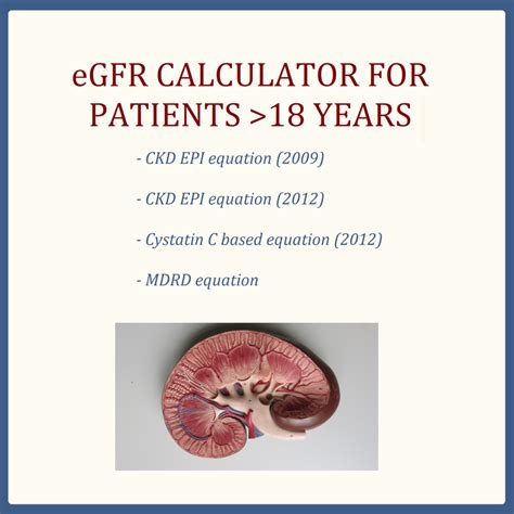 Glomerular Filtration Rate (GFR) - All Things Kidney ~ Official