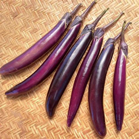 Eggplant, Poamoho Dark Long (Organic) - Adaptive Seeds