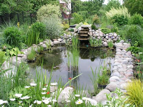 File:Garden pond 1.jpg - Wikipedia
