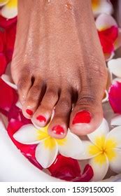 529 African Pedicure Bilder, Stockfotos und Vektorgrafiken | Shutterstock