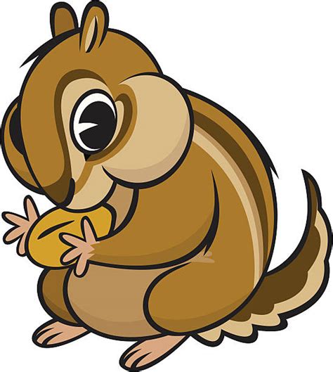 Royalty Free Chipmunk Clip Art, Vector Images & Illustrations - iStock