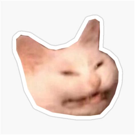 "Smiling Smirking Cat Meme - Big Print" Sticker for Sale by amyshiroi | Redbubble