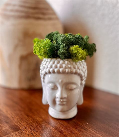 Buddha Head Planter With Moss Zen White Ceramic Flower Pot for - Etsy
