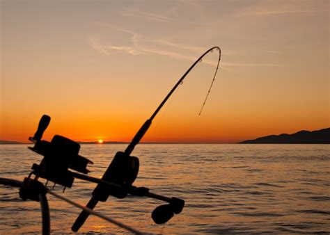 The Top 6 Criteria for Selecting the Ideal Fishing Location