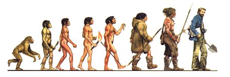 EVOLUCIÓN BIOLÓGICA