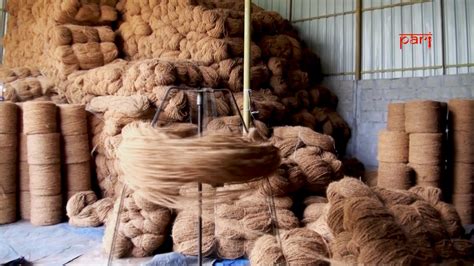 Making coir out of coconut husk