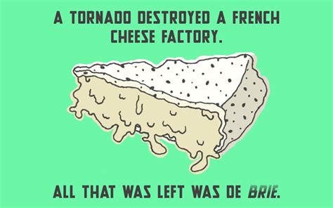 75+ Cheese Puns That Will Give You A Gouda Laugh | Thought Catalog French Puns, French Quotes ...