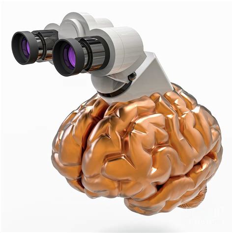 Brain Research Photograph by Laguna Design/science Photo Library