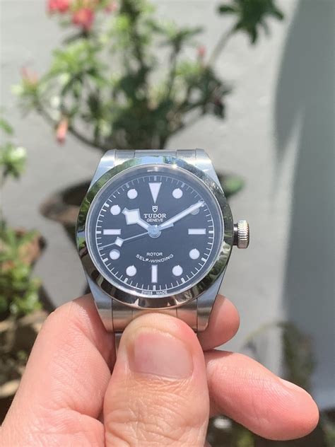 Owner Review: Tudor Black Bay 36 - FIFTH WRIST