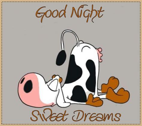 Pin by Nina Addis on GOOD NIGHT 6 | Good night funny, Good night sweet dreams, Cute good night